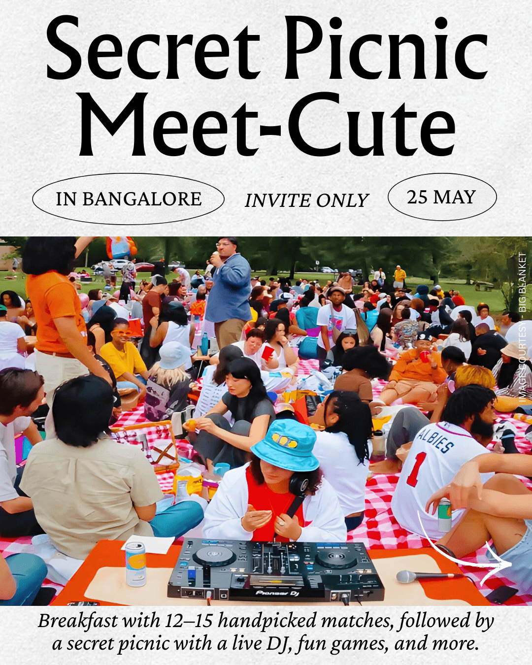 Secret Picnic Meet-Cute